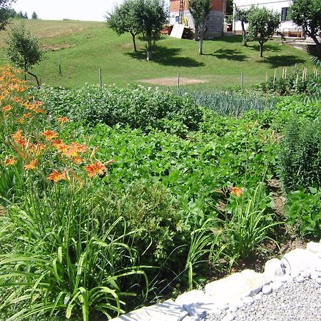 House Osana Hotel Grabovac  Exterior photo