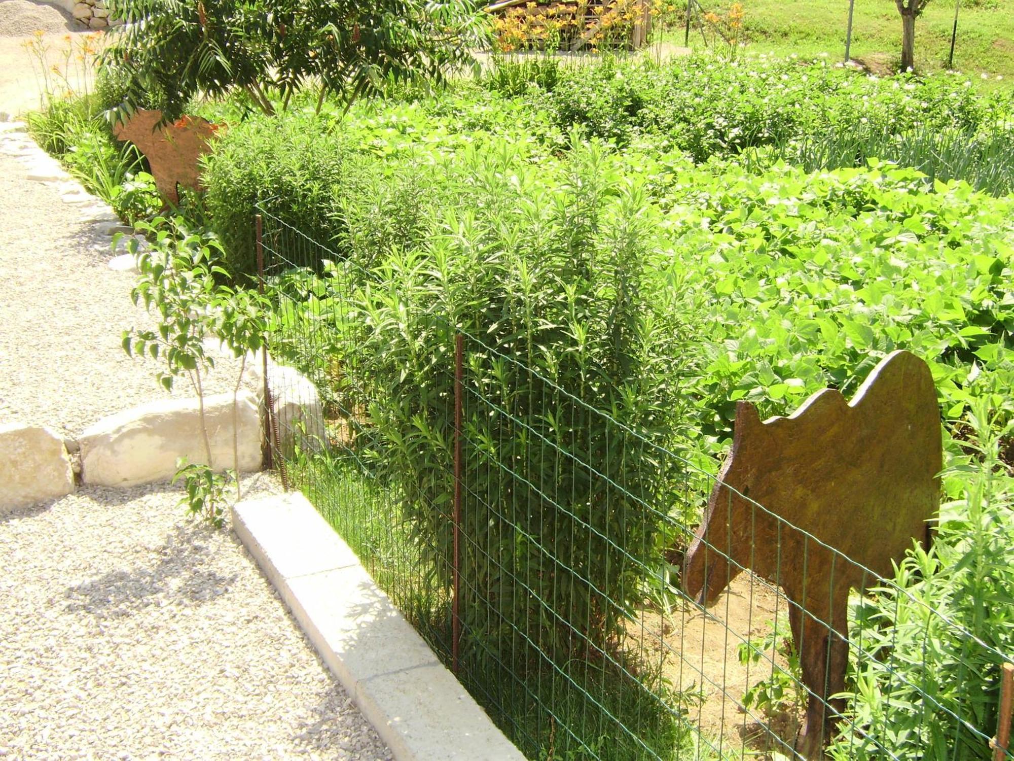 House Osana Hotel Grabovac  Exterior photo